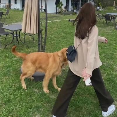 周榜第2名